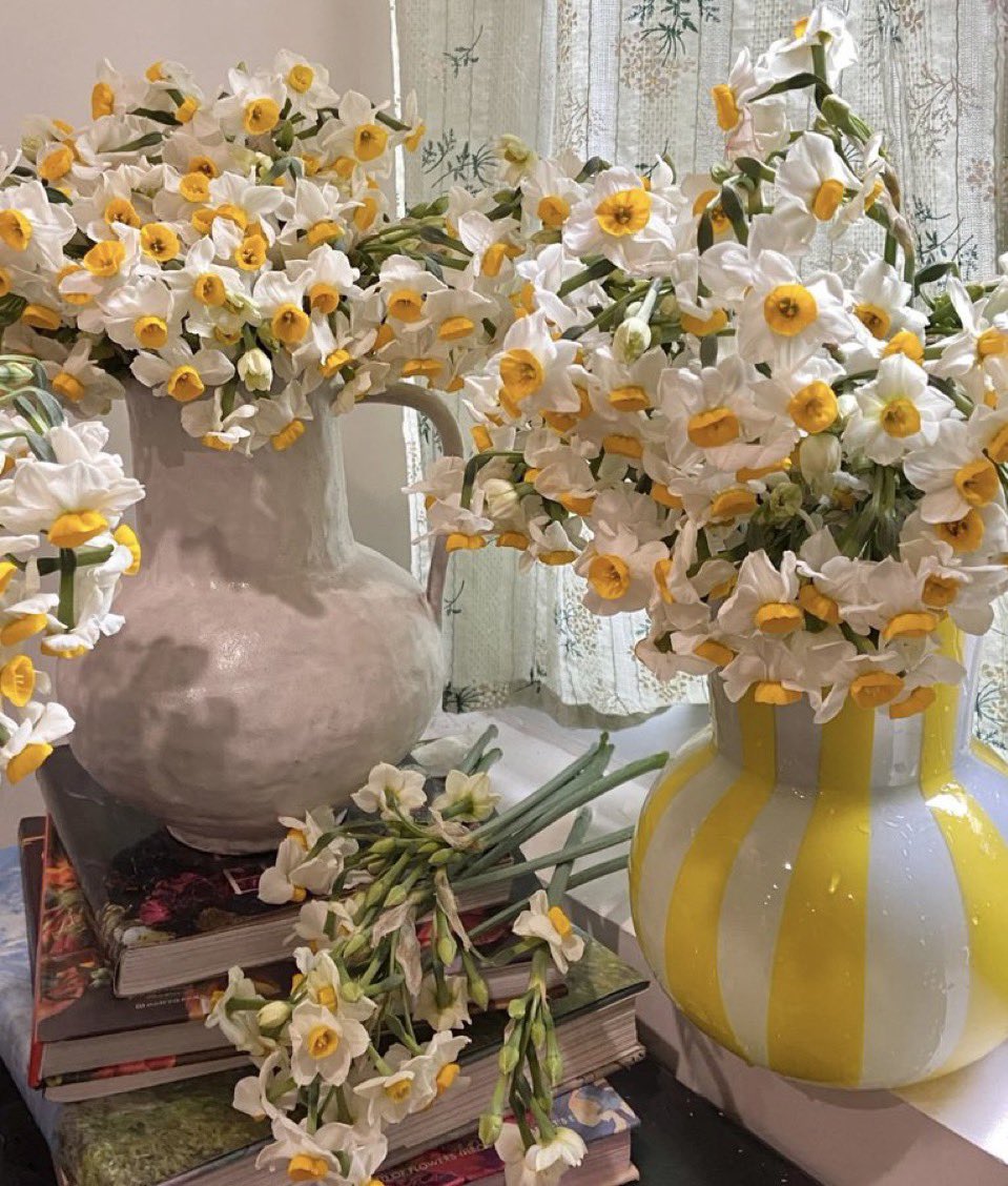 Nergis zamanı🤍💛