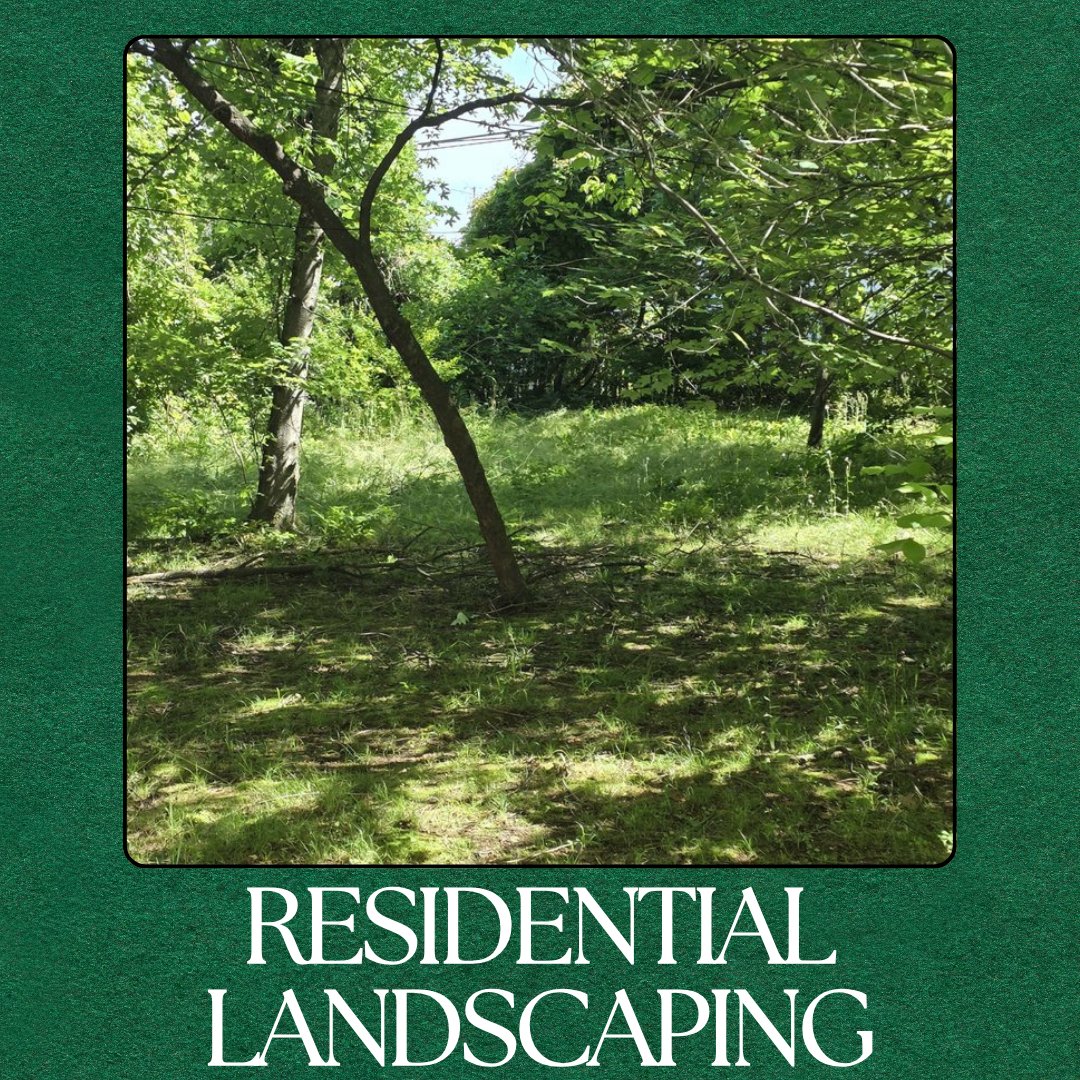 Curb appeal starts at the curb. Our #ResidentialLandscaping services transform ordinary yards into eye-catching displays. Let's create something beautiful—contact us today for ideas and pricing.
philcampbelllandandlawn.com/residential-la…