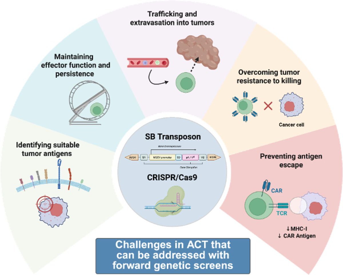 jitcancer's tweet photo. New #JITC review: Functional genomics for improving adoptive T-cell transfer therapies https://t.co/By1iFN4vhg
@IngunnStromnes https://t.co/TgkTcx8U1J
