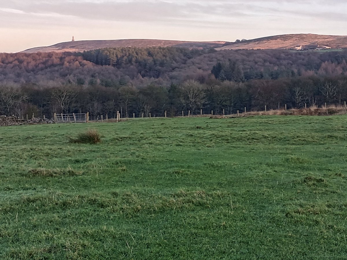 Stuart Parker tweet media