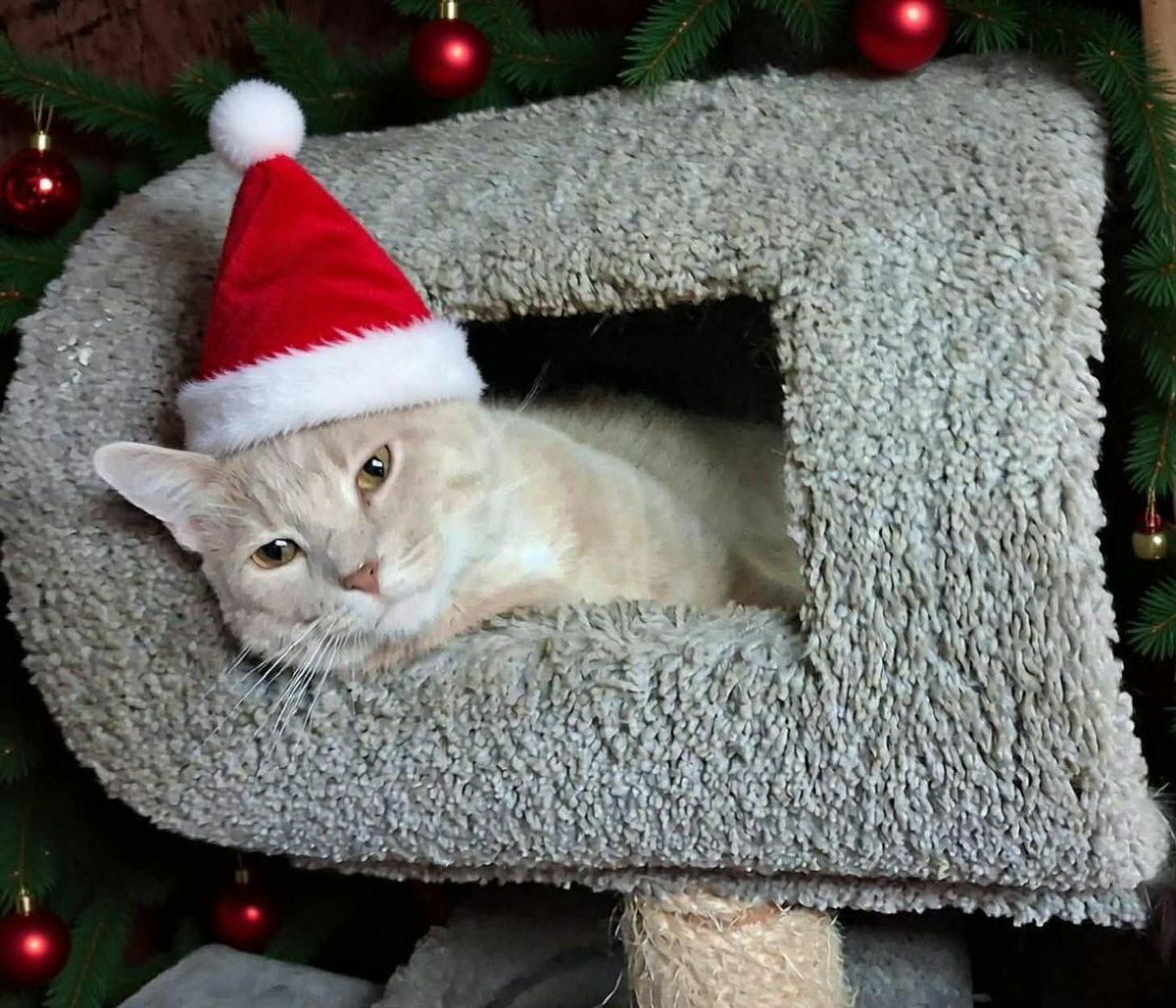 James Robert "Jibby" Andrew is ready for the celebrations to begin