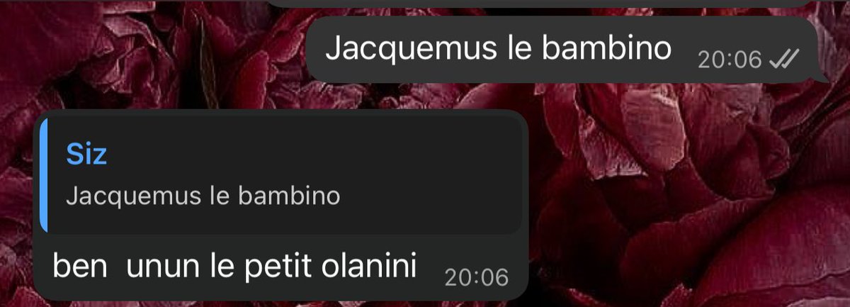 Özge (@cesdiamantsla) on Twitter photo 