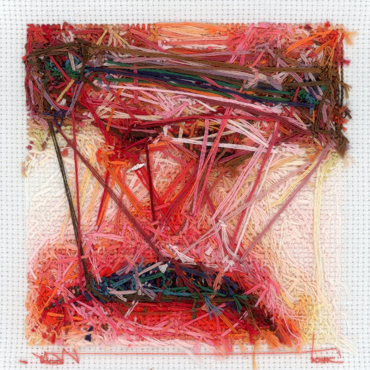 Arca / acrA
<a href="/arca1000000/">Arca</a>