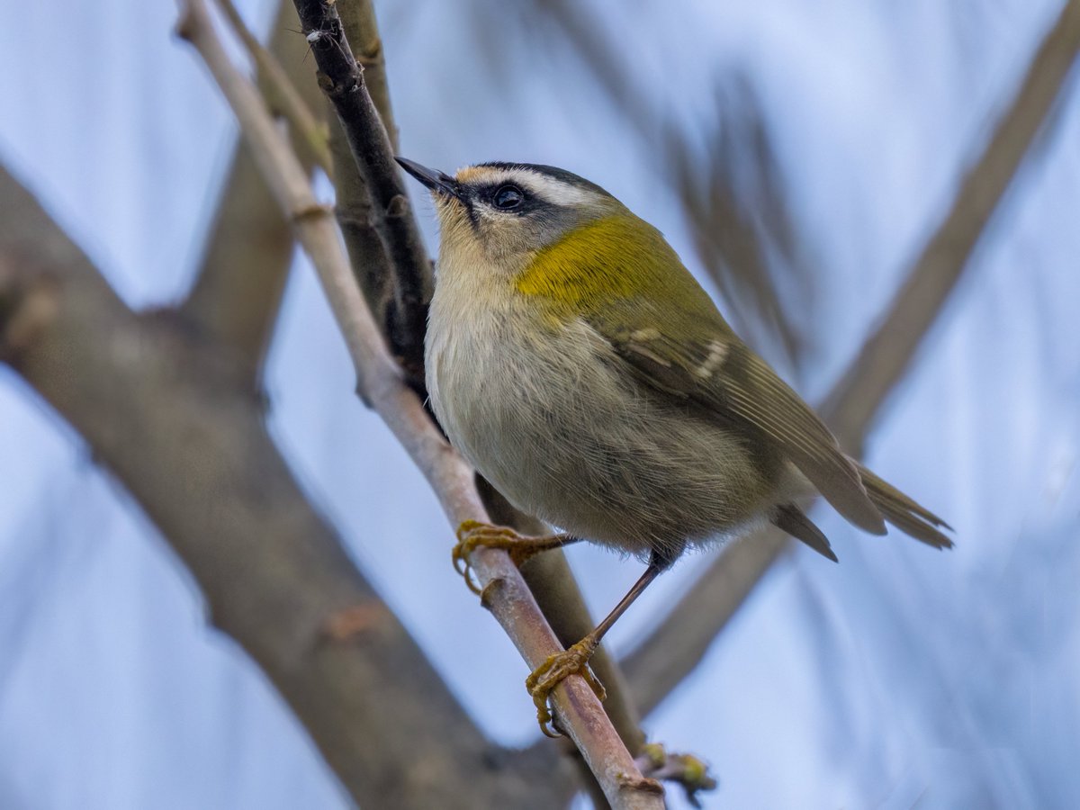 Andy Johnson tweet media