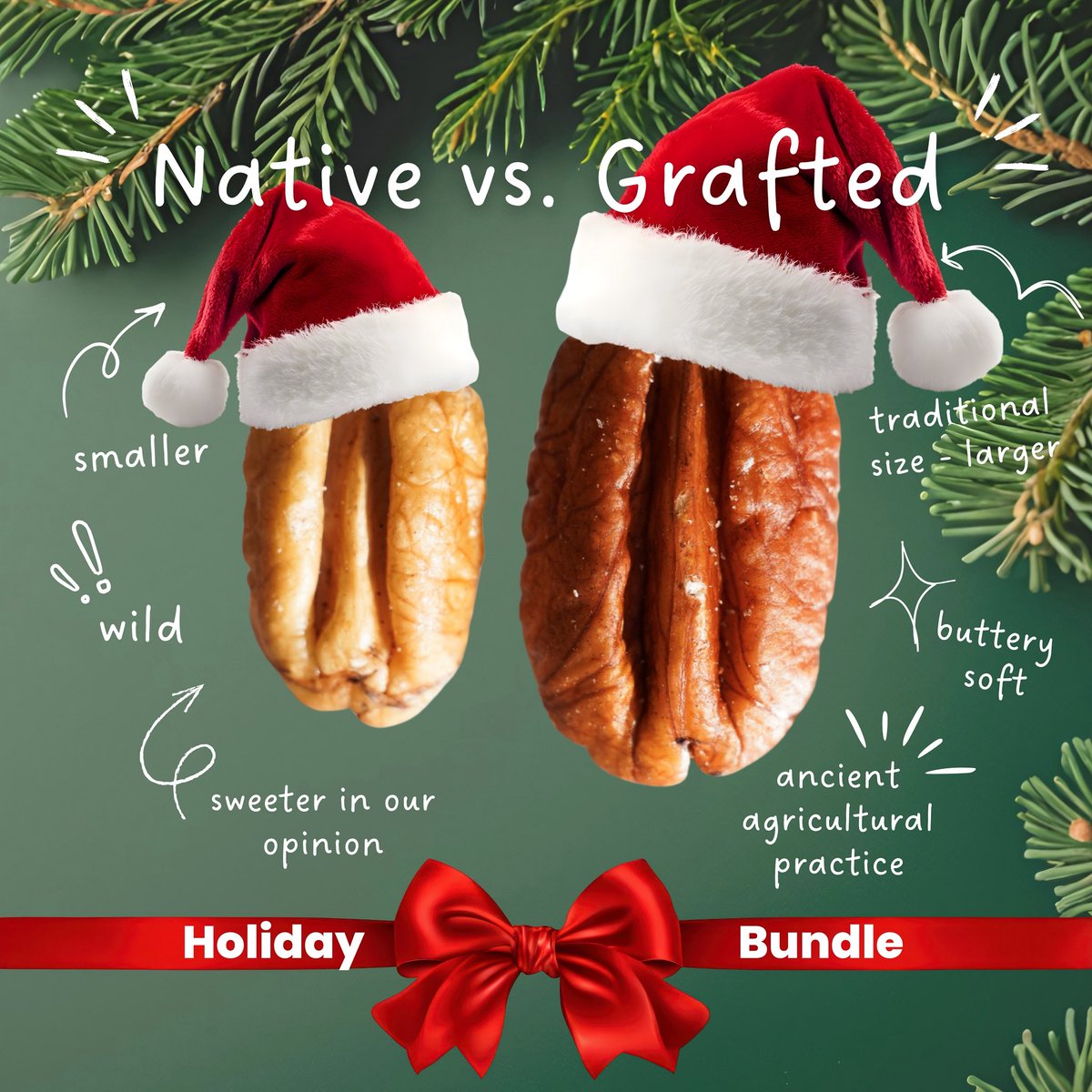 Check your inbox 📧❗️Our latest newsletter announced our holiday bundle! 🎄Have you been curious about the difference between native &amp; grafted pecans? Well now you can order them both and save 30%‼️
Head to tlcranch.com
<a href="/CindyCSheffield/">Cindy Carter Sheffield 🤠🦬</a>