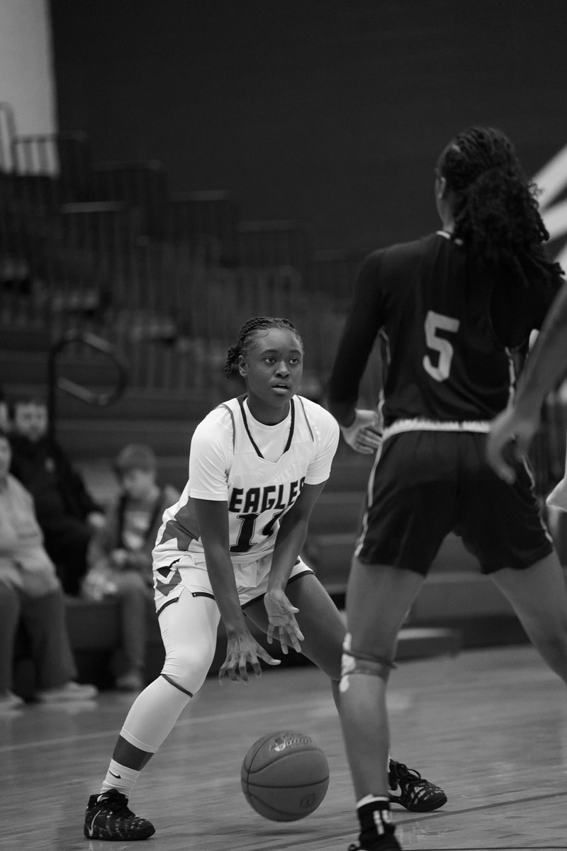 Dyersburg State Athletics tweet media