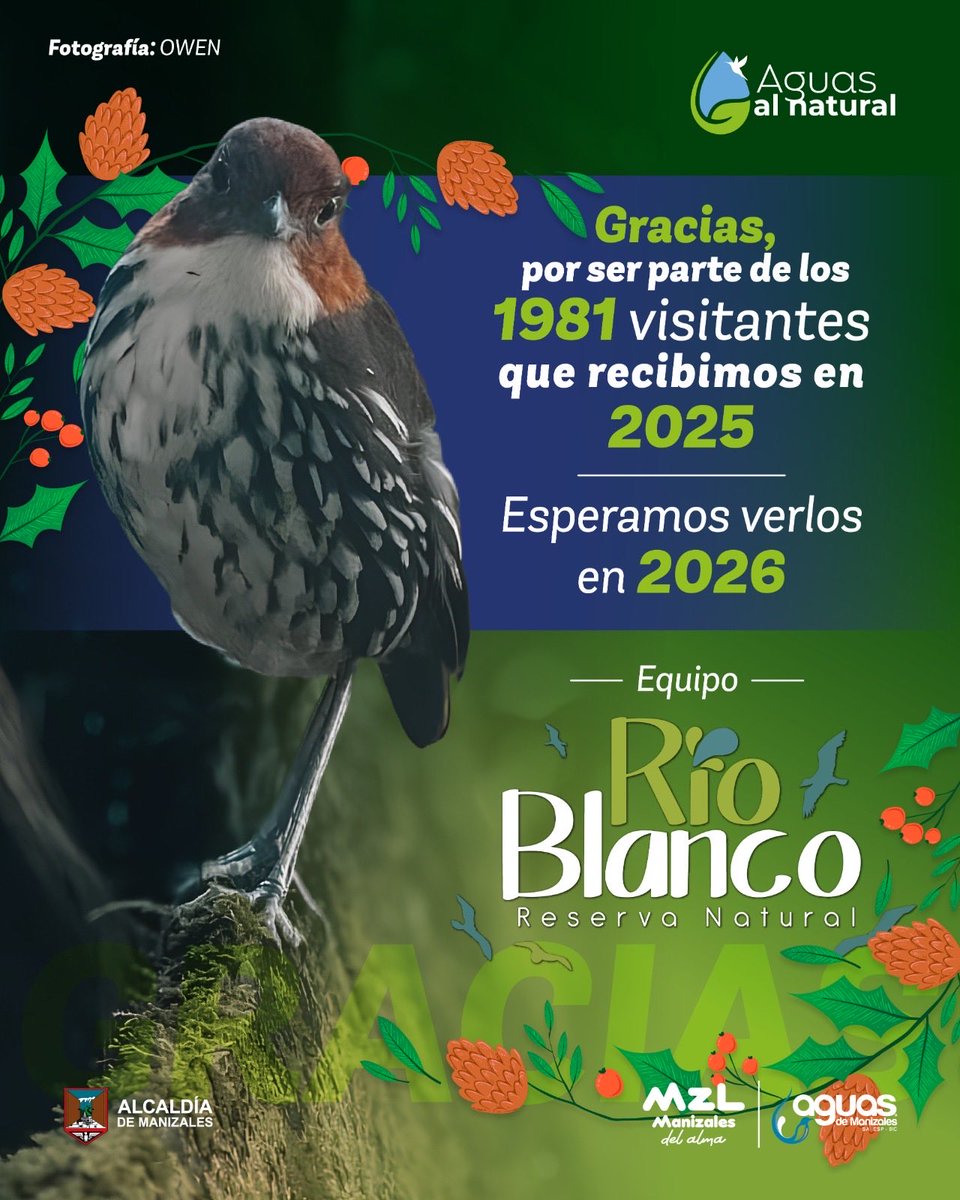 Gracias por acompañarnos este año y ser parte de la magia de Río Blanco.
Seguimos cuidando este tesoro natural y esperamos recibirte de nuevo en 2026.