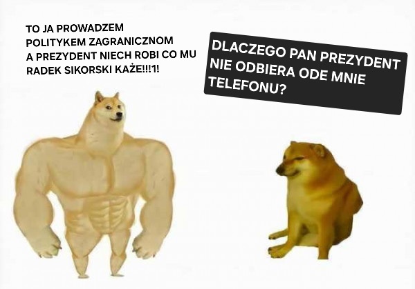 Cały <a href="/donaldtusk/">Donald Tusk</a>