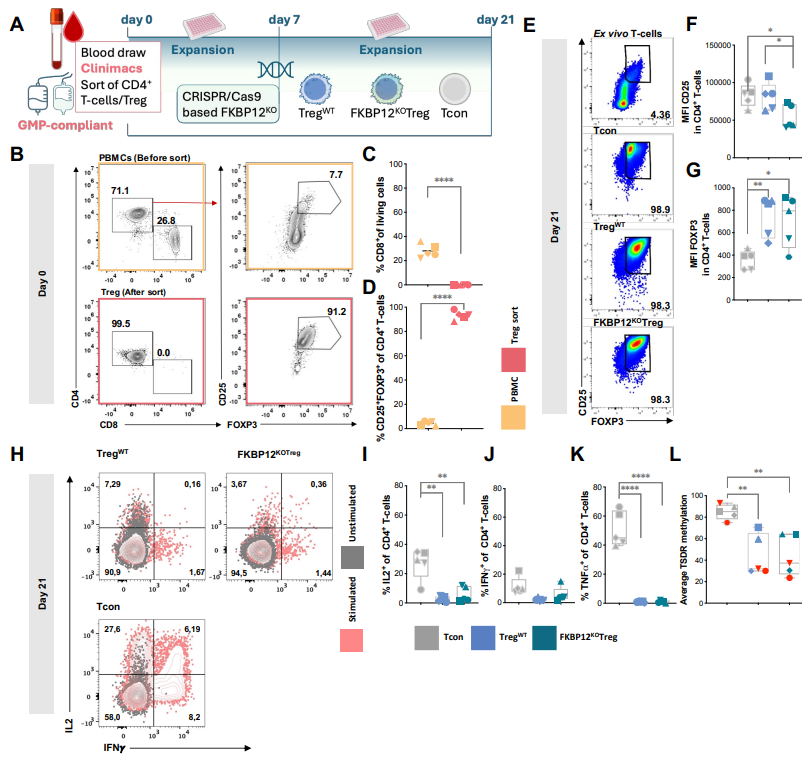 <a href="/biorxivpreprint/">bioRxiv</a> Clinical development of gene edited tacrolimus-resistant Treg (FKBP12KO-Treg) to enable simultaneous immunosuppression and support of immune regulation <a href="/LeilaAmini10/">Leila Amini</a> 
biorxiv.org/content/10.648…