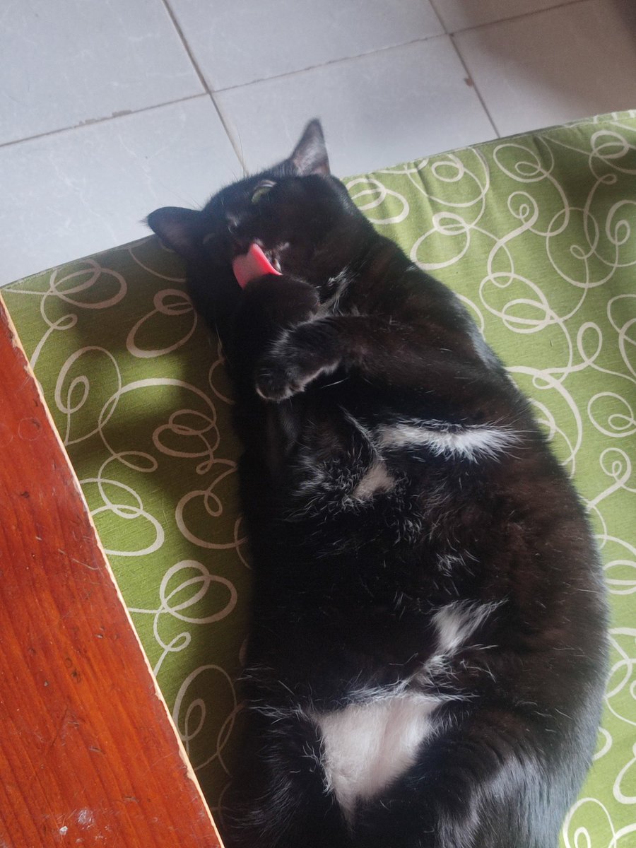 Good morning Everyone! 😌 🥰
How are you all?
Doing good?