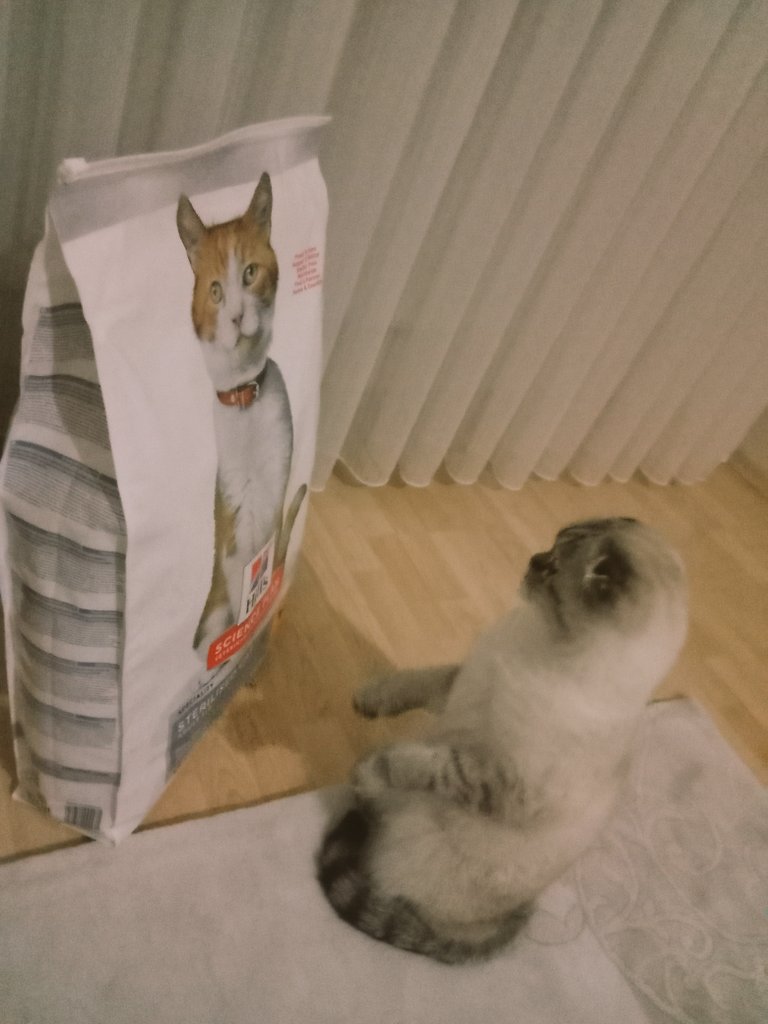 Paketin üstündekinin mi kendisinin mi gerçek olduğunu anlamaya çalışan bir Haydut. ☺️