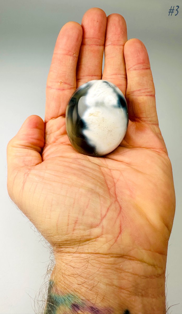 sageofstones's tweet image. ★★ CRYSTAL FOR SALE ★★

ORCA AGATE PALM STONE
“The Stone of Forgiveness”
Refer to the images for my Orca Agate Product Sheet which provides a ton of information on the properties of Orca Agate.

$12
* Only 1 available!

#Crystals #Crystal #CrystalsForSale #CrystalSeller