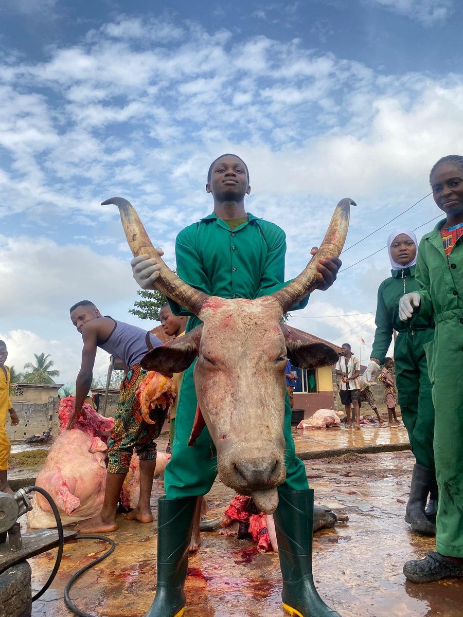 MichealAdeyela's tweet photo. Went to the slaughter slab today. Held a cow’s head with my own hands. This is agriculture — blood, discipline, and respect for life. Not aesthetics, not vibes. Reality.

#Agriculture #SlaughterSlab #AgroLife #FoodProduction #FarmReality #RespectTheProcess #AgStudents #RealWork https://t.co/vPIi6kwZXZ