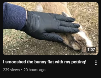 Jodie 🐇 tweet media