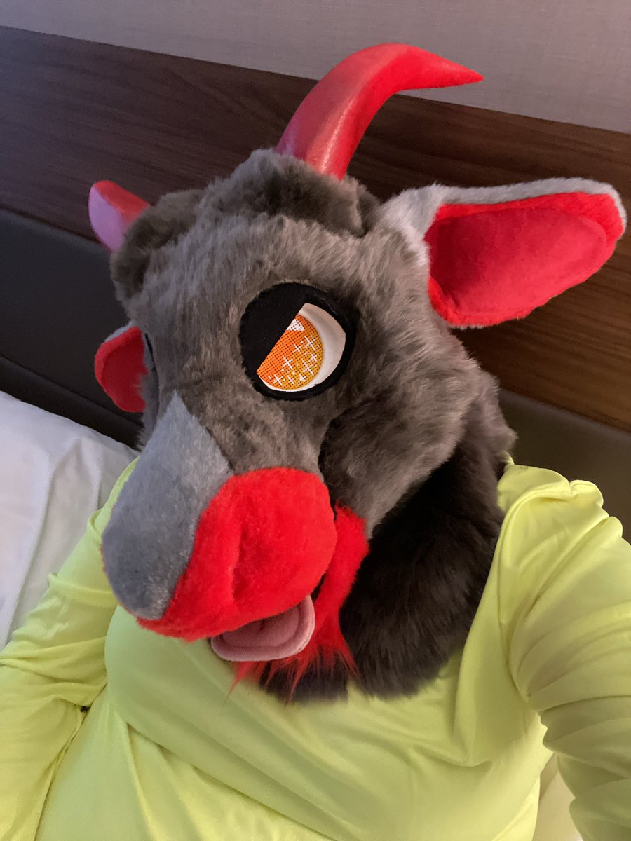 totoroBre's tweet photo. It’s almost the new year so new pinned!
Name’s Aztec💚
26->27
Married to @thef0restf4ble 10/31/24
Enby/Pan/They/Them
Dog who’s bark is worse than their bite
Photgrafur and multi suiter!
Multi-fandom collector
Con staff https://t.co/jMAHRiqGg0