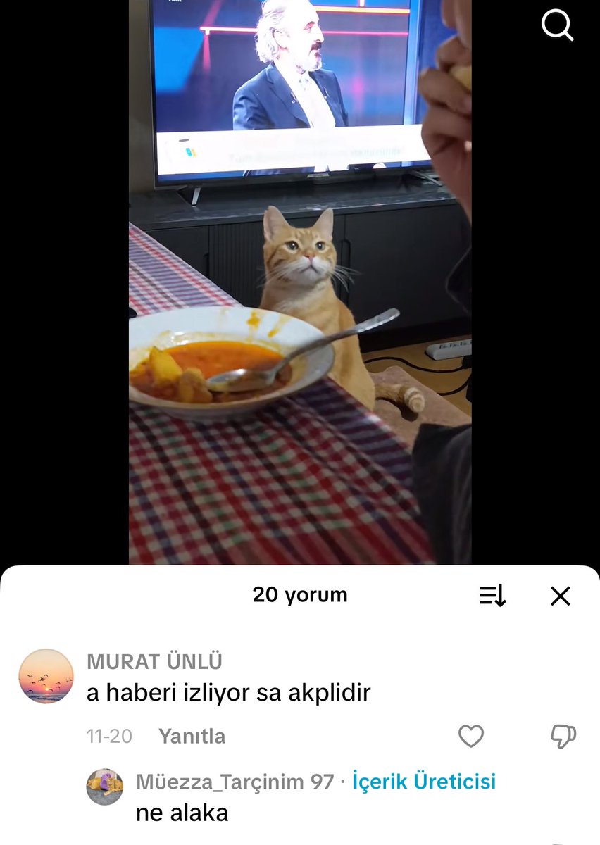 iyi kötü her konuda bizim ön yargı