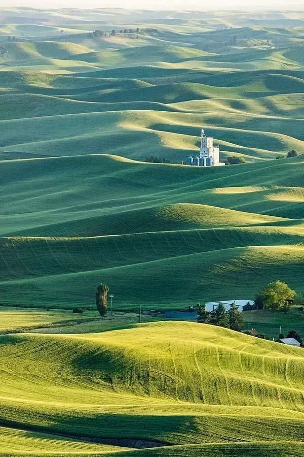 Jon Evan Glaser tweet media