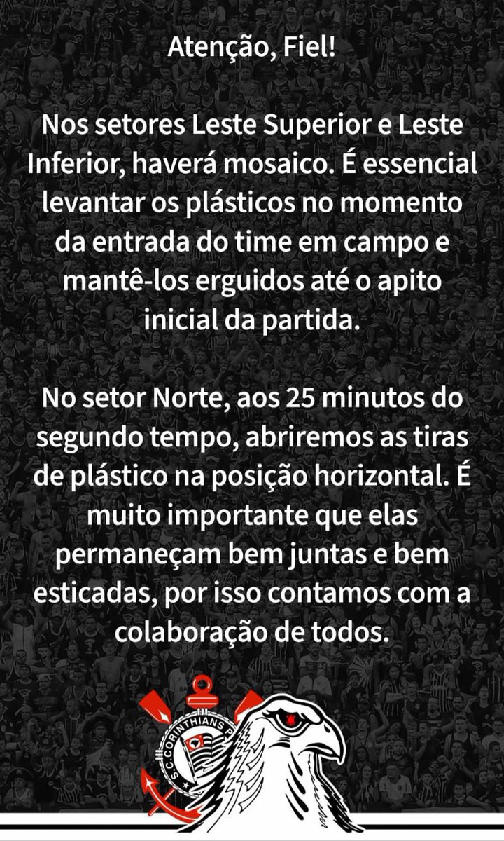 Vessoni tweet media