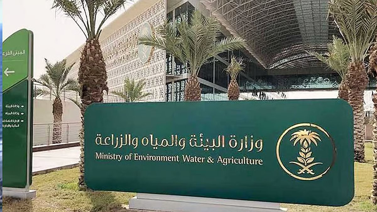 فرع البيئة بنجران ينفذ 790 جولة رقابية لتعزيز سلامة الأغذية وحماية الصحة 