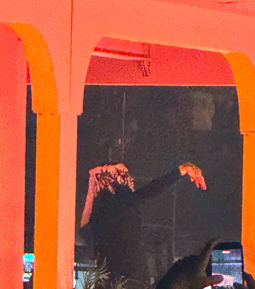 <a href="/CerebrosG/">Cerebros</a>