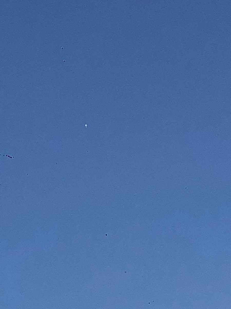 Raúl Gutiérrez tweet media