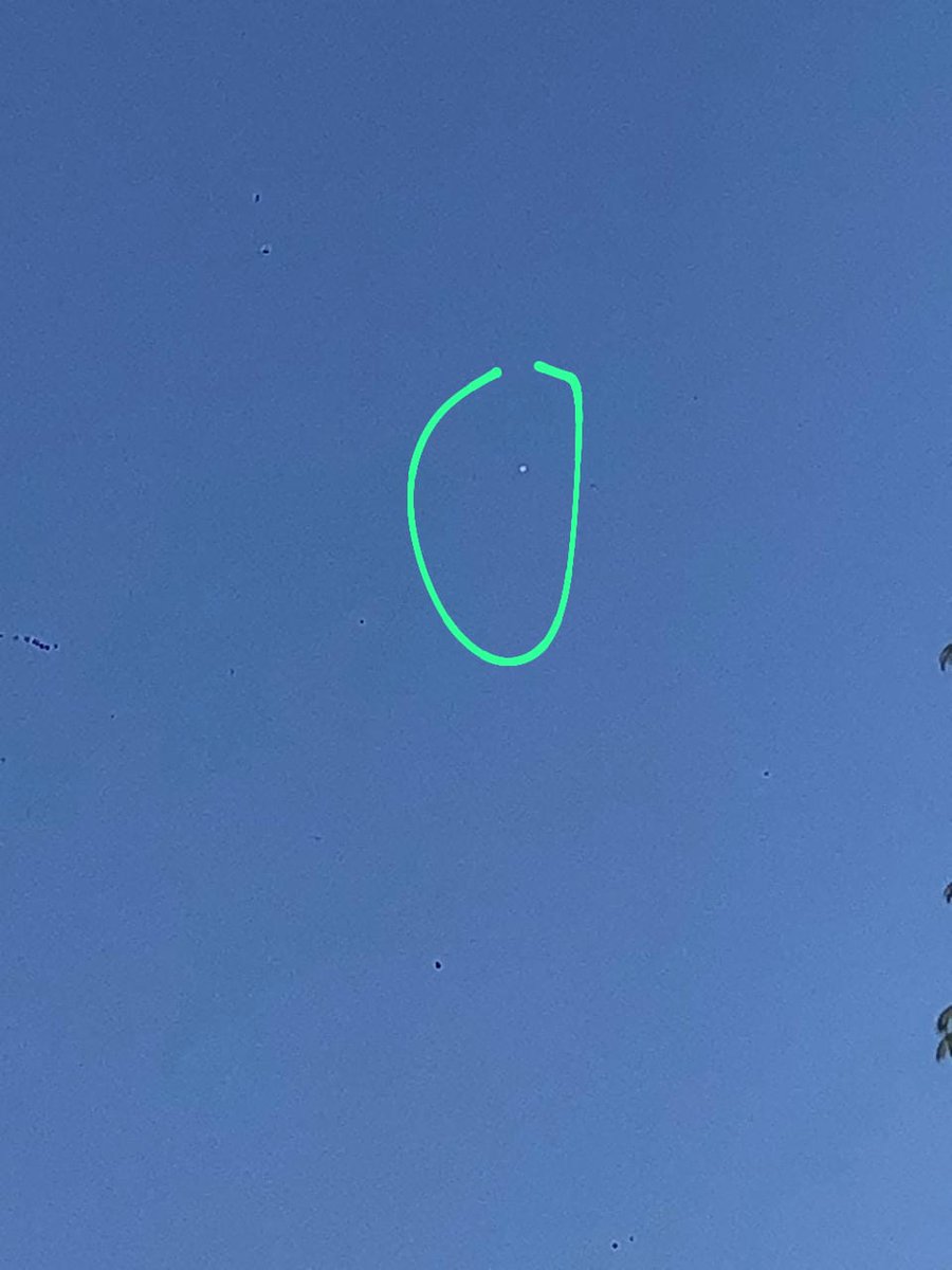 Raúl Gutiérrez tweet media