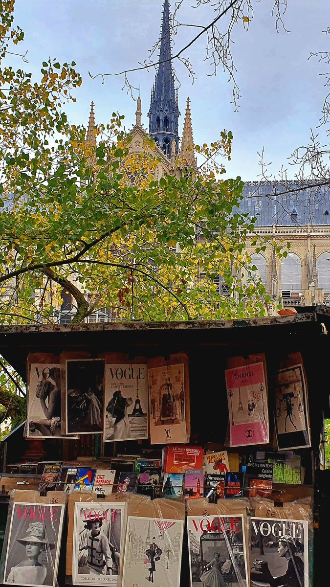 #GoodeveningX 🎅💫
Bonsoir, buona serata 
🎄🎅💫☃️⭐️🎄
#MyPhoto : Les bouquinistes.  
#parisjetaime 💕💫🎅