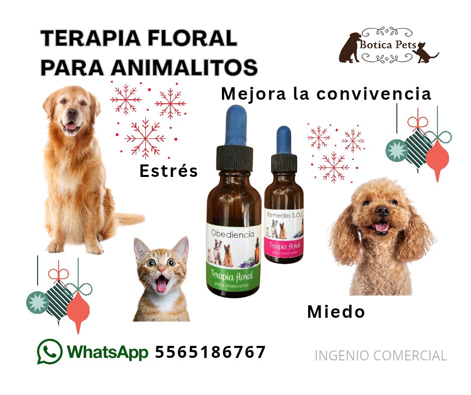 BoticaPets's tweet image. 