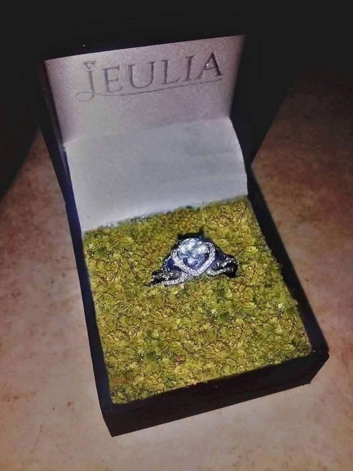 Proposing to a stoner girl