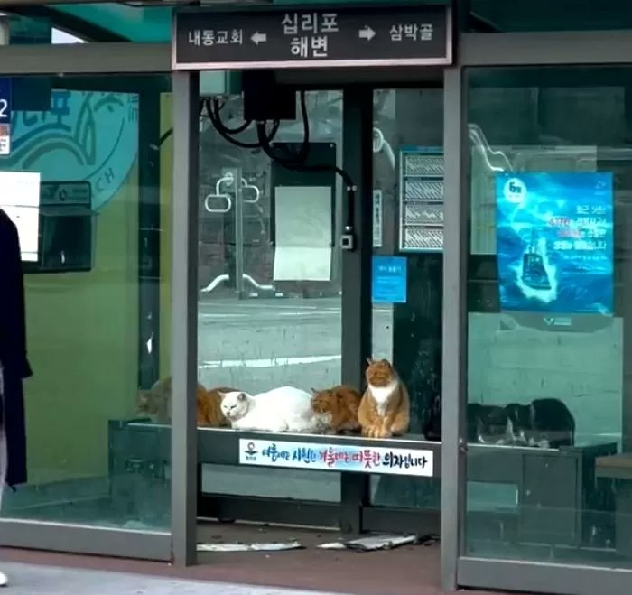 ccr2623's tweet image. 