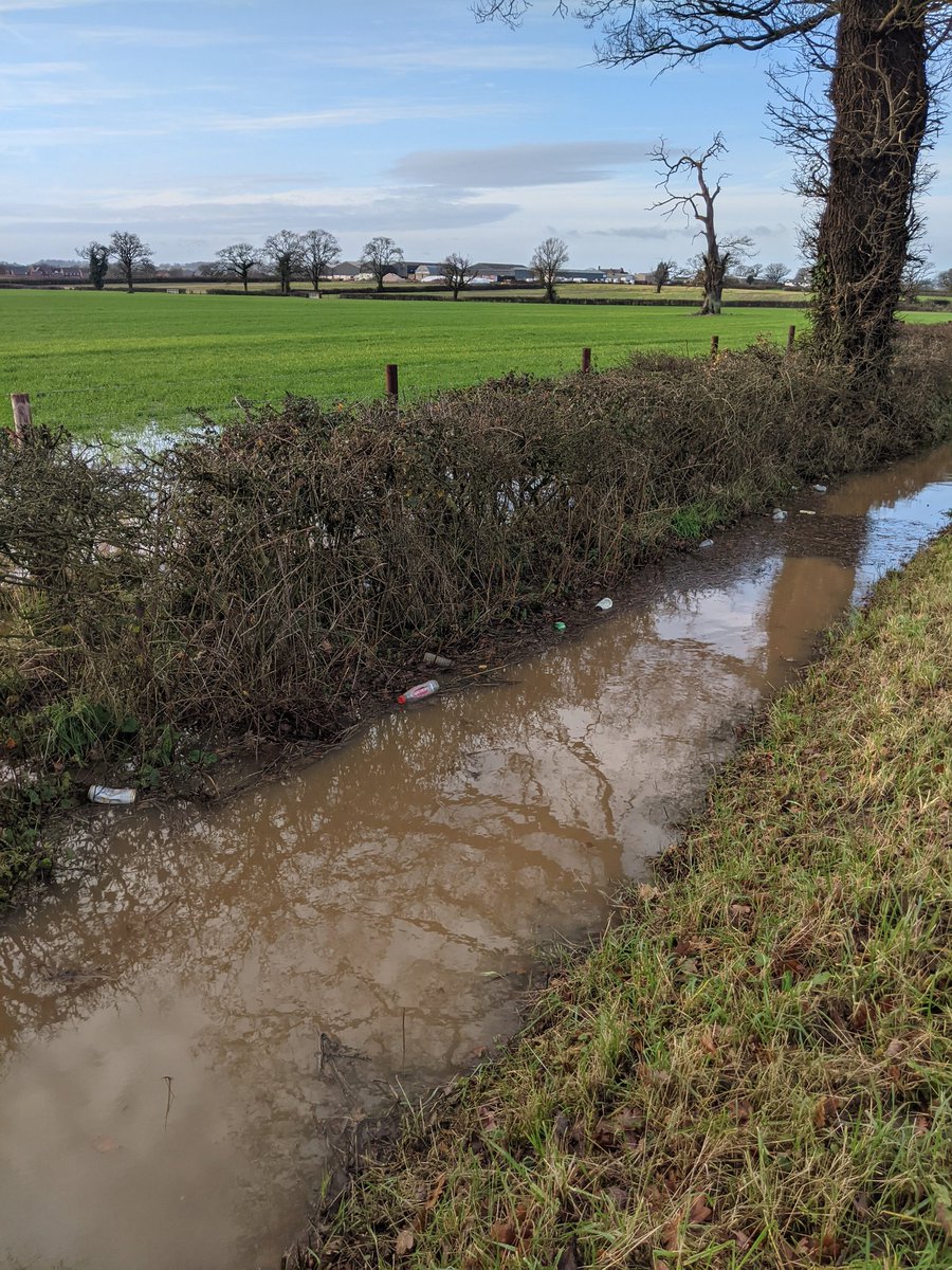 EricTorrington's tweet photo. Glorious ☀️ this morning with 650 driver thrown #litter items from a #ratrun rural lane. Flooded ditches with 'floaters' picked along 1 km. Mostly plastics but 238 cans in the main alcohol. #Gloucestershire litter is the pits. https://t.co/GZnxCs2QT8