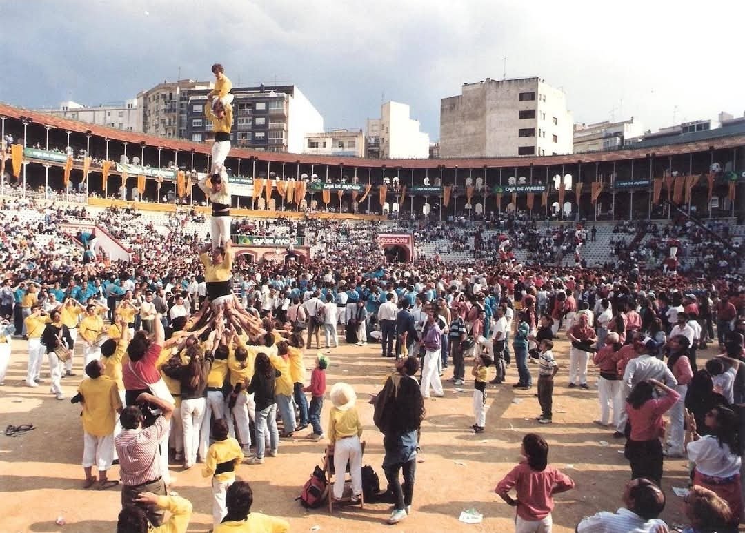 Els Grocs 💛 tweet media