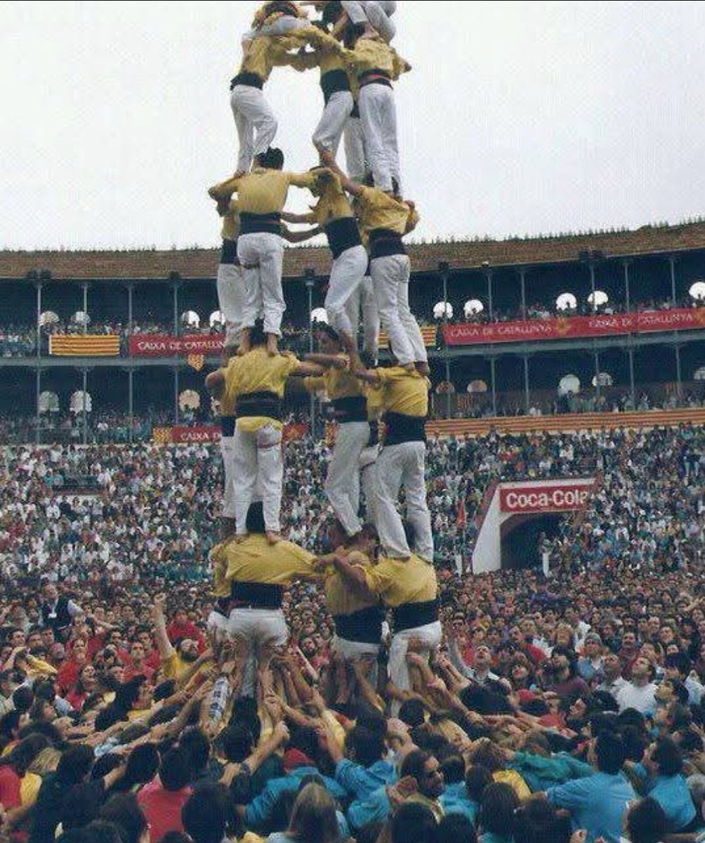 Els Grocs 💛 tweet media