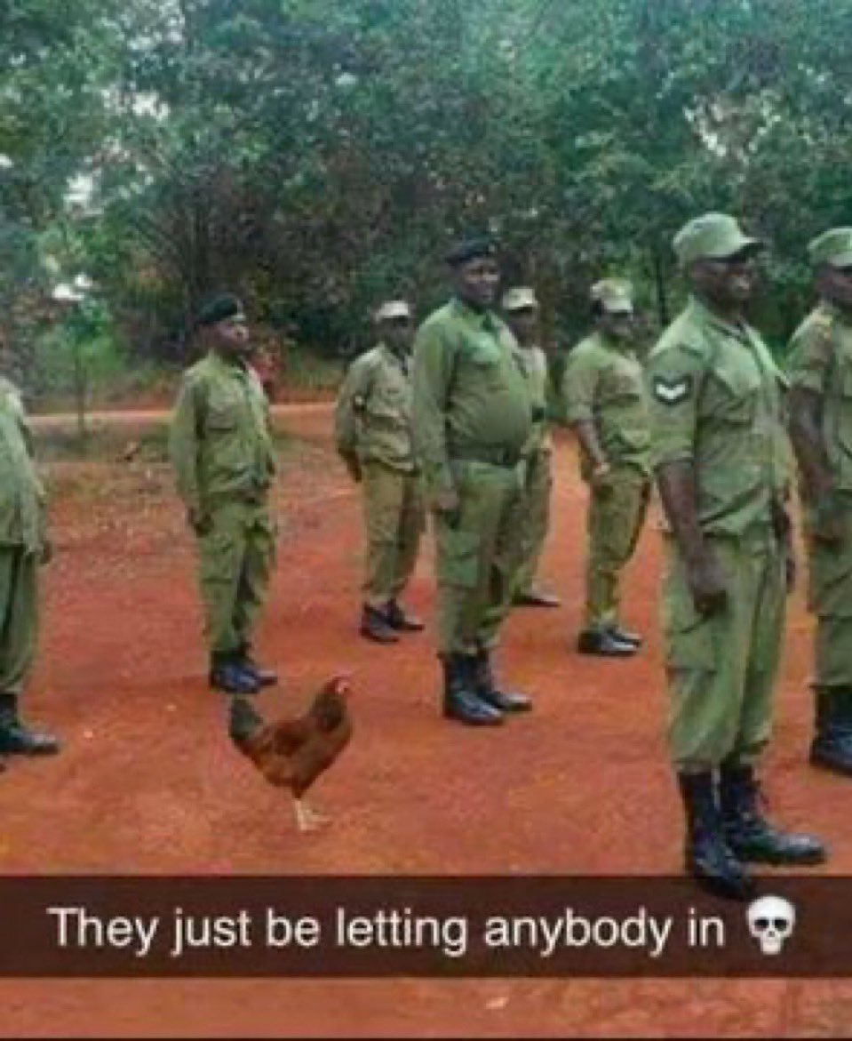 gekoft🛸 tweet media