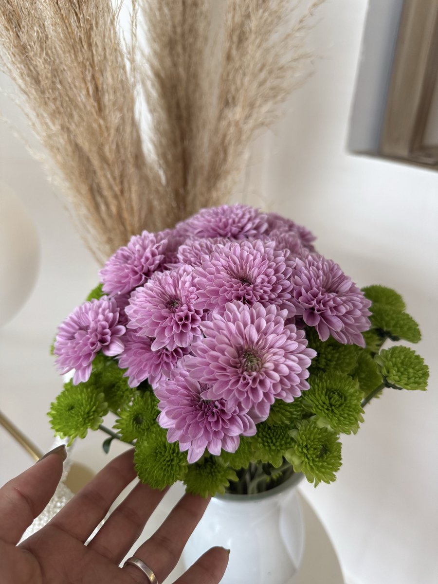 aeacostac25's tweet photo. 💐❤️ https://t.co/TZvNOXEIy7
