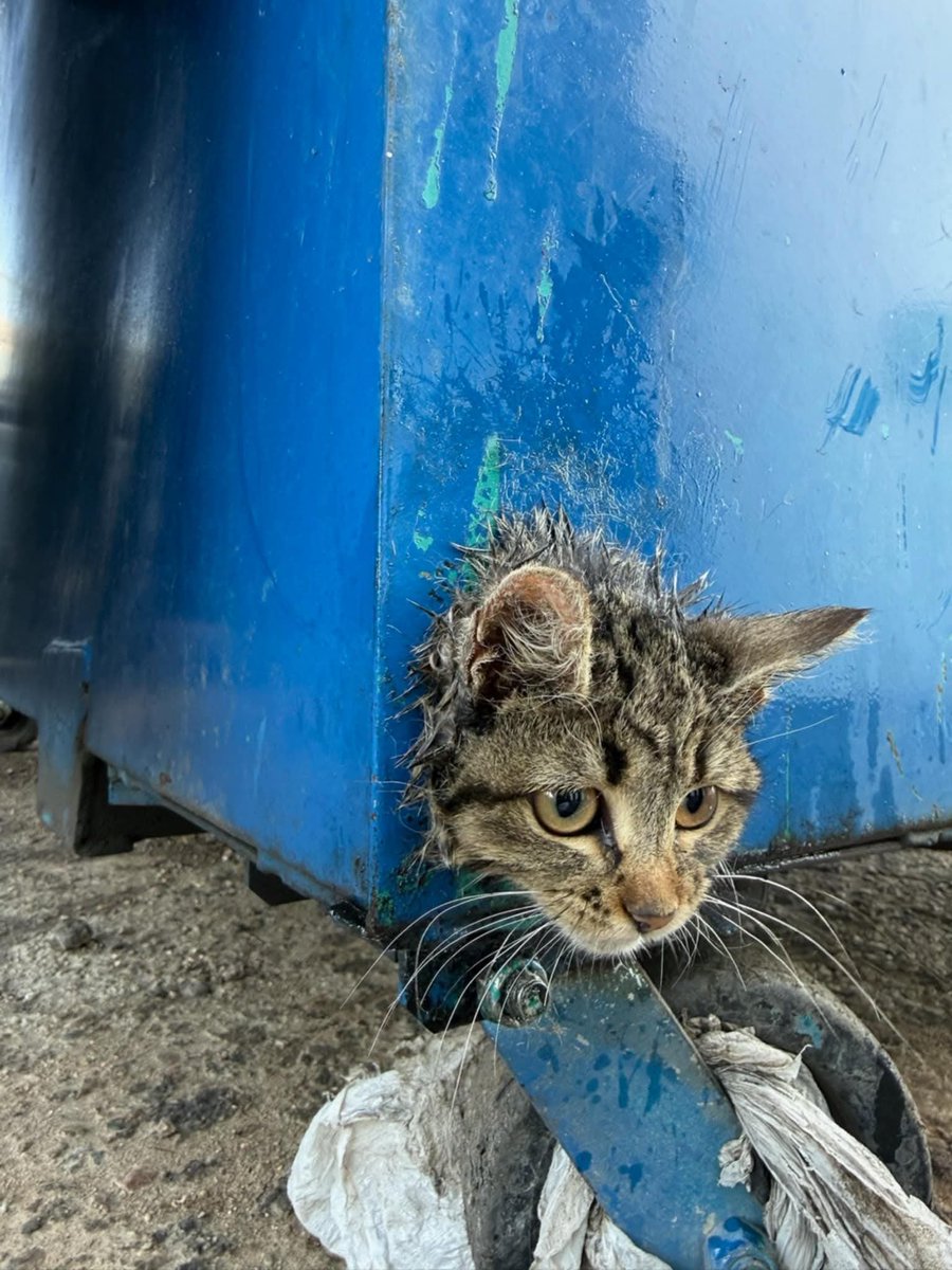 Mitchell Byars tweet media