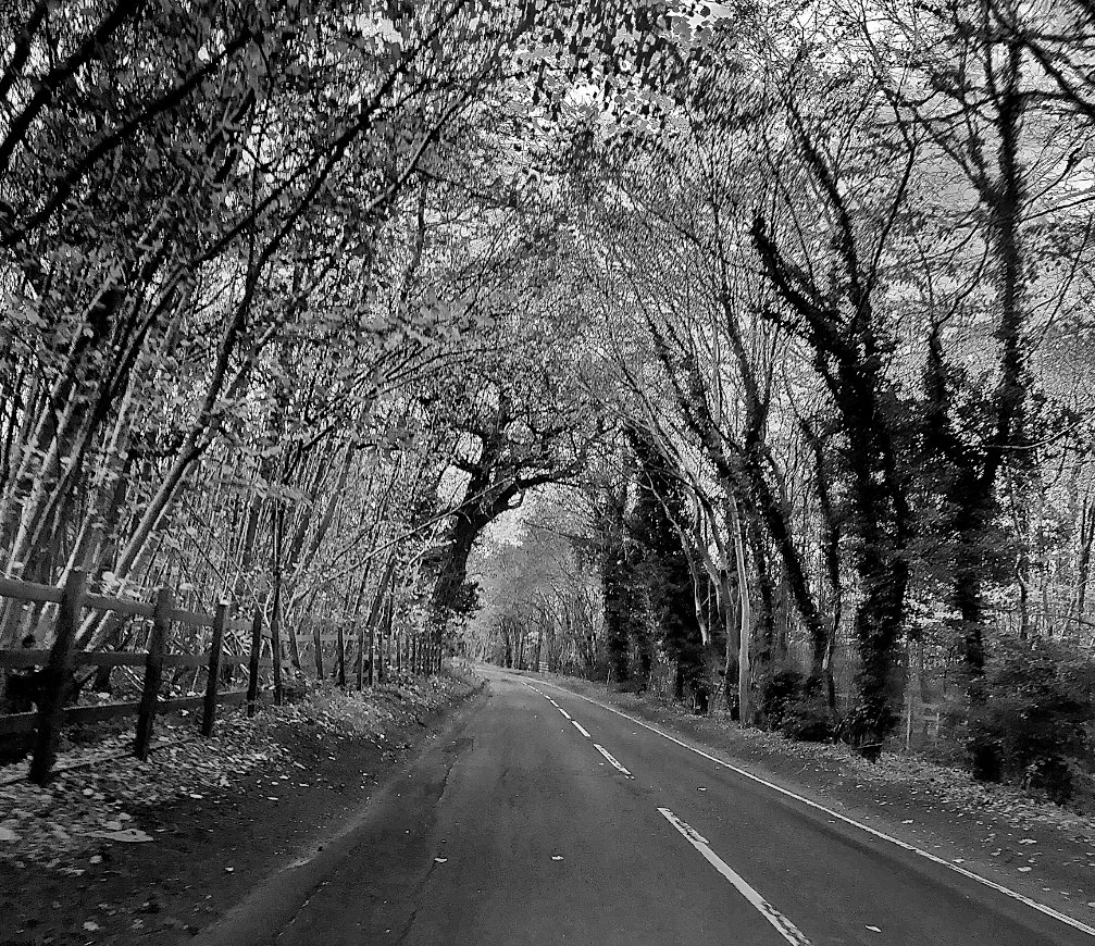 I remember certain roads Dad used to speed down. Way above the speed limit. He'd race them like we were being chased by something invisible. Now when I go down them, I can't help but feel spooked. Feel as if something is about to leap from the trees. – Cassie Beard #VOH