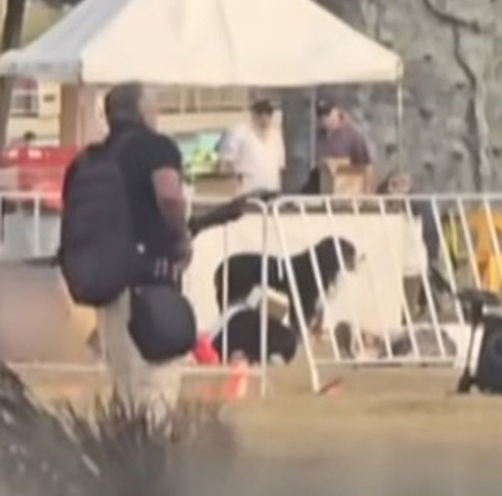 Samantha Smith tweet media