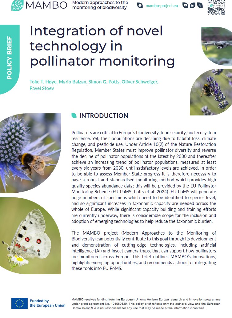 RIO Journal tweet media