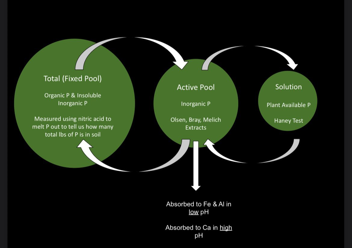 Logan Maurer tweet media