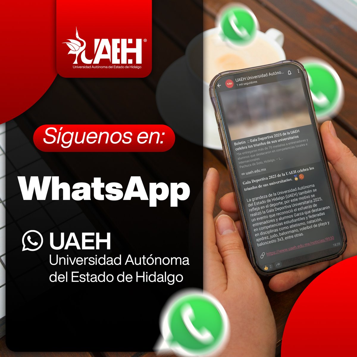 💚📢 ¡La #UAEH ya está en WhatsApp!

Sigue nuestro canal oficial: whatsapp.com/channel/0029Va…
y no te pierdas nada de lo que sucede en la comunidad Garza.

📲 Información directa, rápida y confiable.