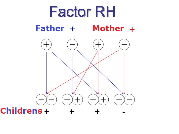 LaskerFDN's tweet image. Born #OTD, Vincent Freda of @Columbia won a #LaskerAward for developing an anti-RH vaccine, leading to the conquest of hemolytic disease of the newborn. ow.ly/e48650XKnbg 
#RHFactor 

Learn more about several #LaskerLaureate (s) who worked to make mothers and children