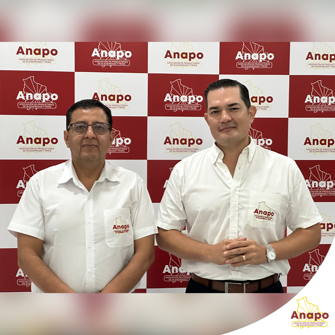 Hoy compartimos los datos de la producción de este año y lo proyectado para 2026. ¡Mira las fotos y accede a más información en nuestra web: n9.cl/zv07v! 👇