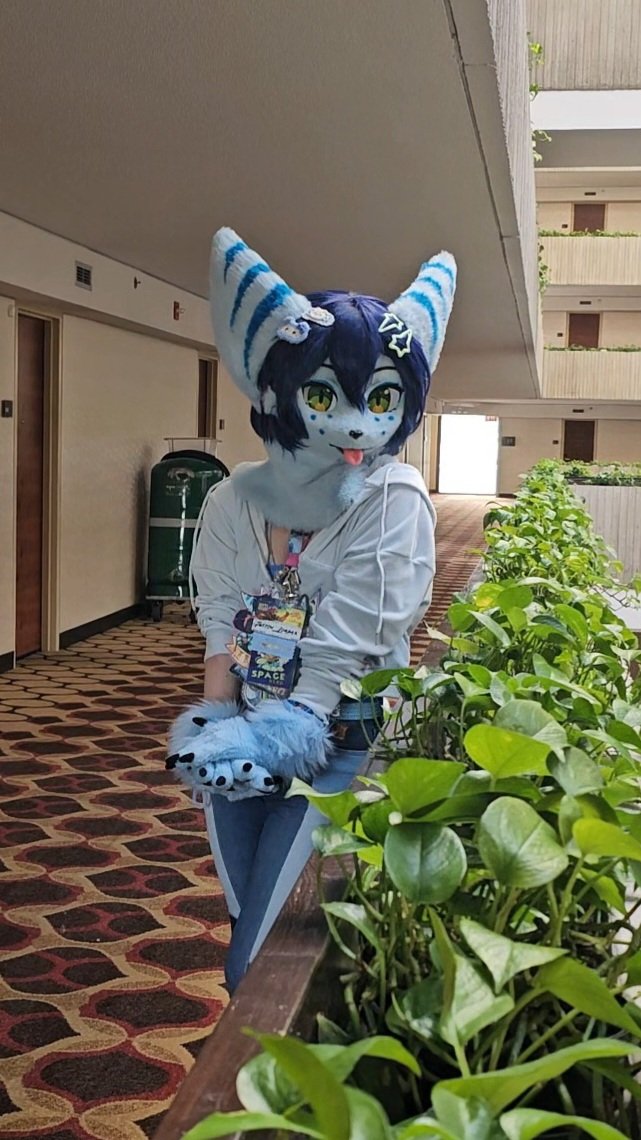 Twitch🛸Lombax tweet media