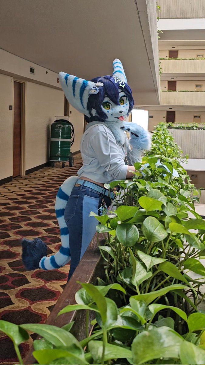 Twitch🛸Lombax tweet media