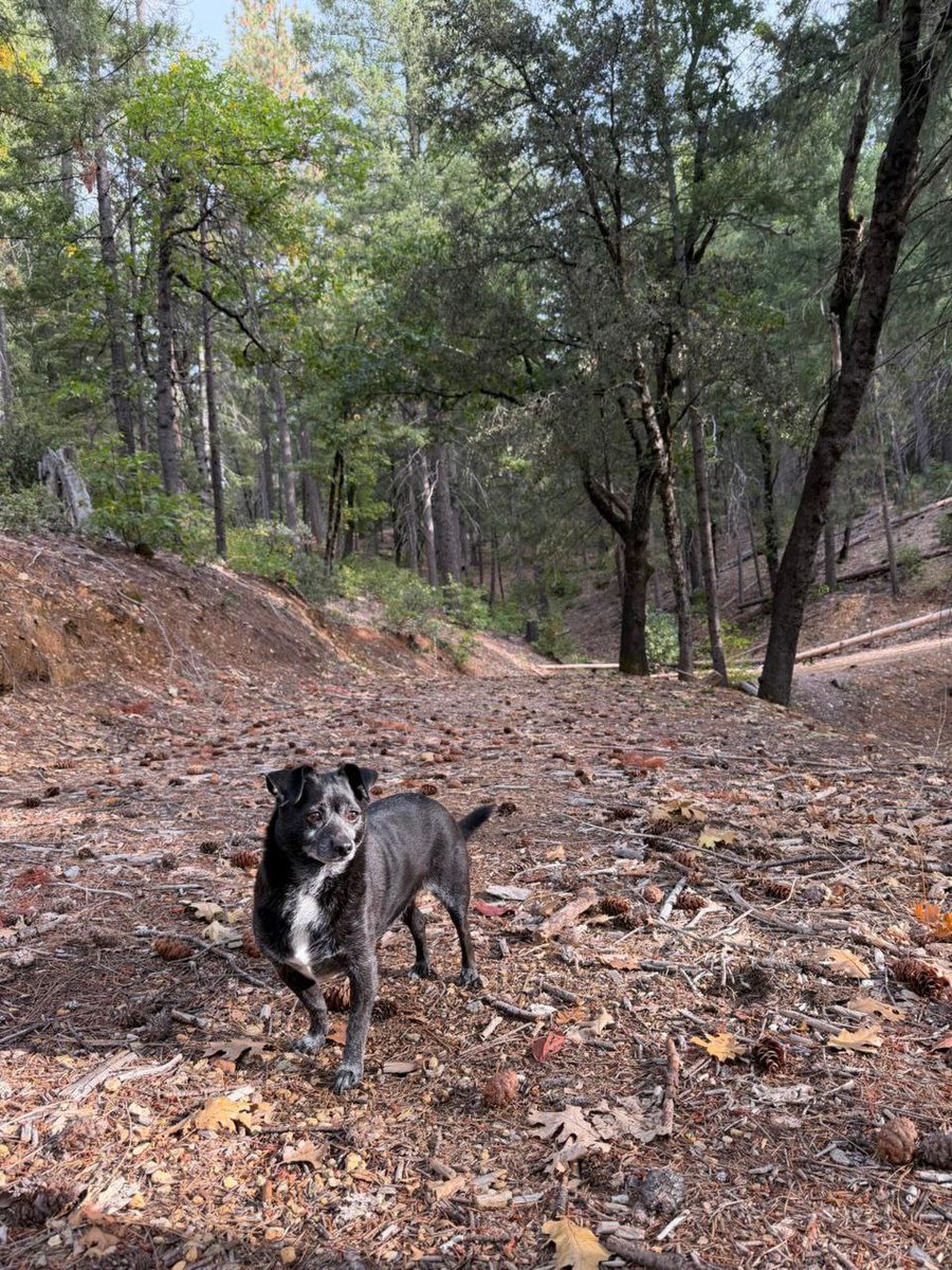 John Rising tweet media