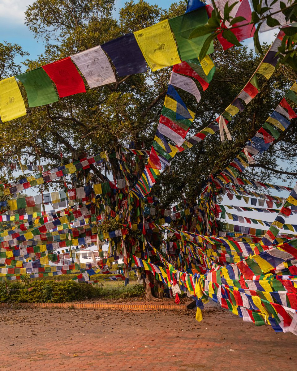 Rotary's tweet image. From the rainbow reflection of a bubble to a stormy seashore, how do you see the world? 📸
Submit your best photos for the annual Rotary magazine photo awards, open until 31 December. 
 🔗 on.rotary.org/4pRNm5K