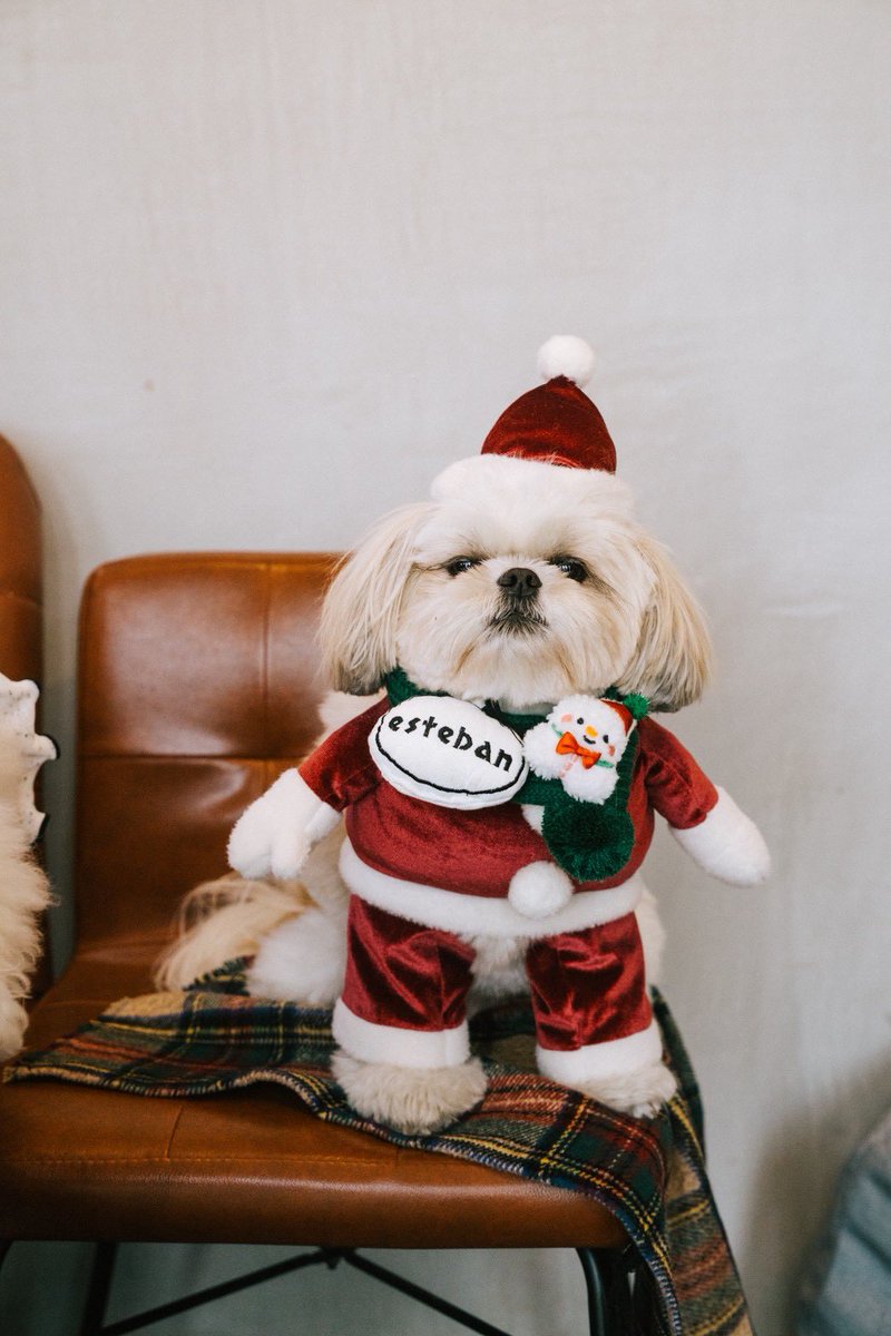 えっちゃん様❤チワワ シーズー birthdayオブジェ♡ えっちゃん (@BokuEsteban) / Posts / X