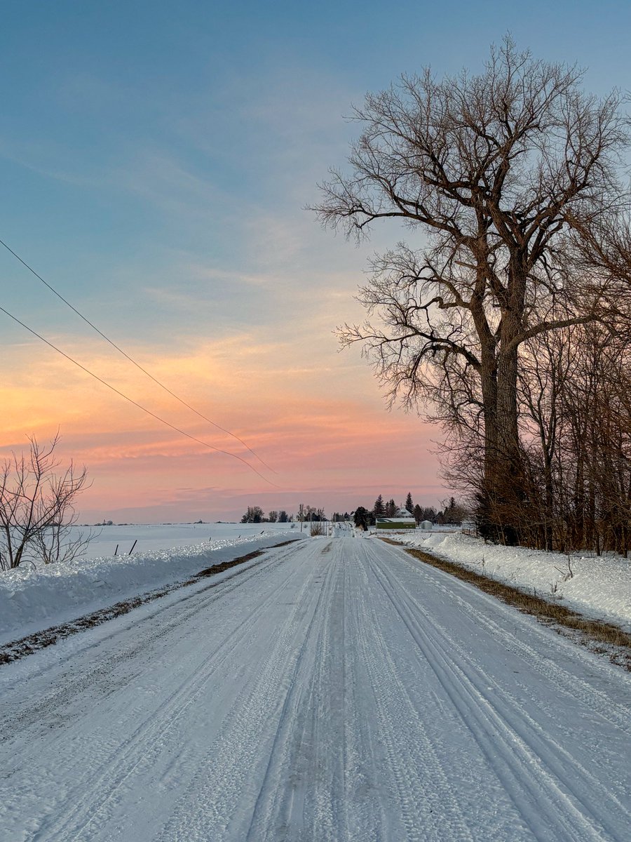 lifefitnessfile's tweet image. Beautiful