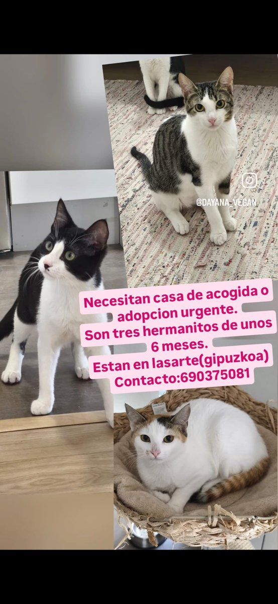 Pepa (@pepa7070) on Twitter photo 